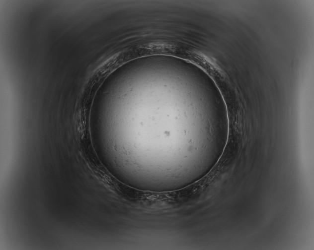 X0000087671015200705041006