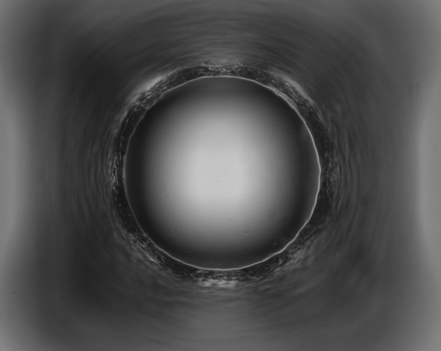 X0000087671016200705041006