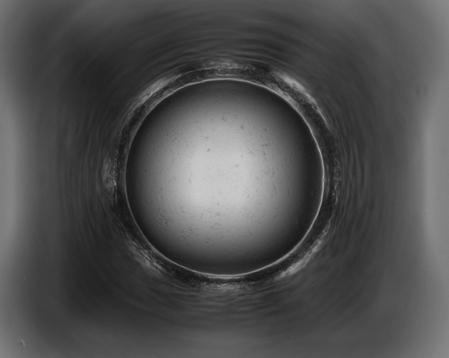 X0000087671017200705041006