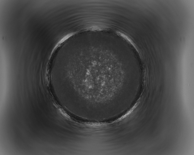 X0000087671018200705041006