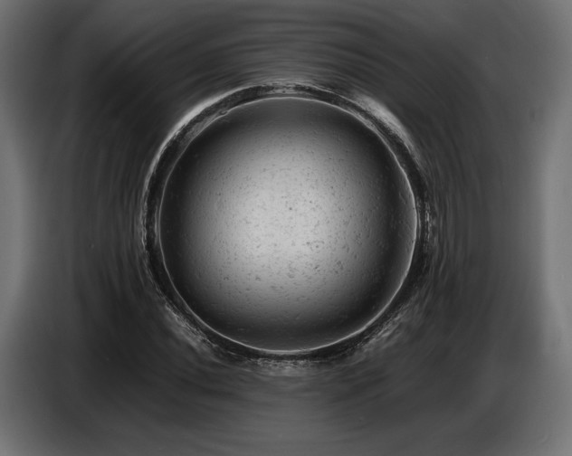 X0000087671020200705041006