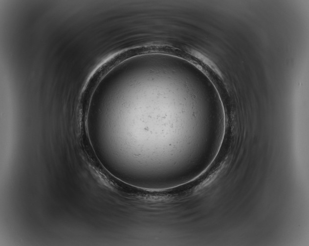 X0000087671021200705041006