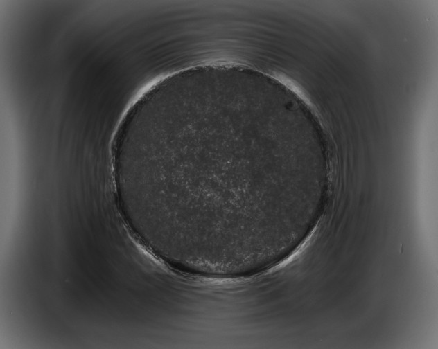 X0000087671022200705041006