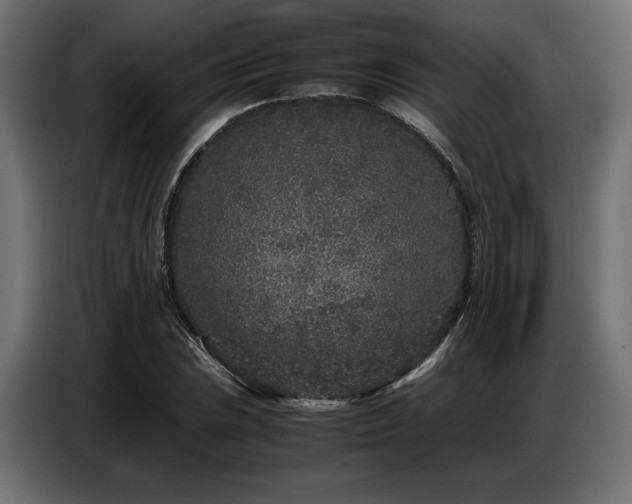 X0000087671023200705041006