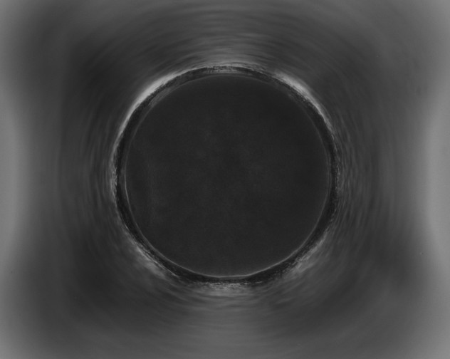 X0000087671024200705041006