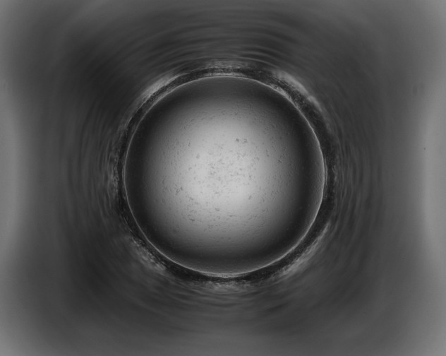 X0000087671025200705041006