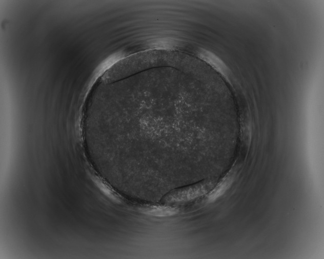 X0000087671026200705041006