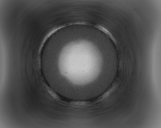 X0000087671027200705041006