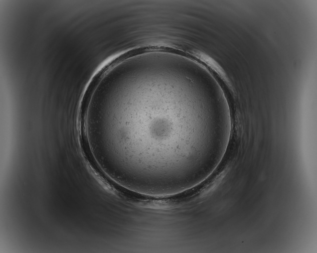 X0000087671028200705041006