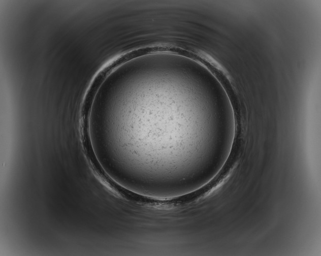 X0000087671029200705041006