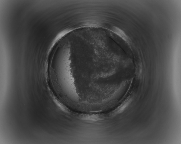 X0000087671030200705041007