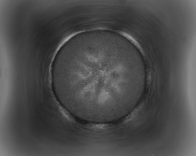 X0000087671031200705041007