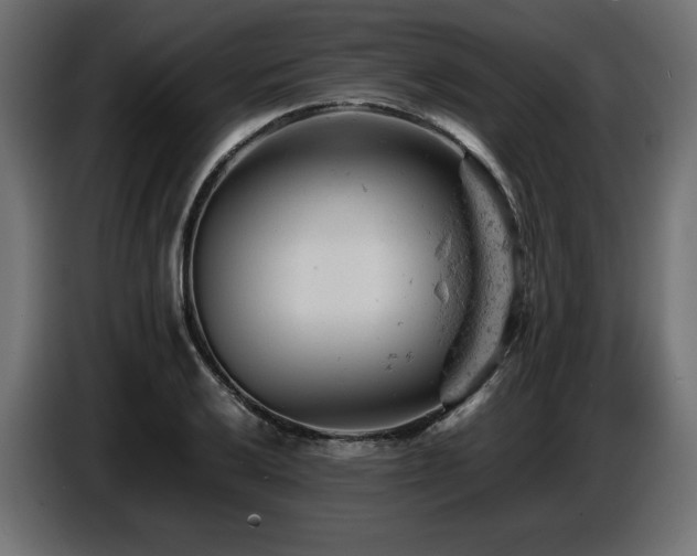 X0000087671032200705041007