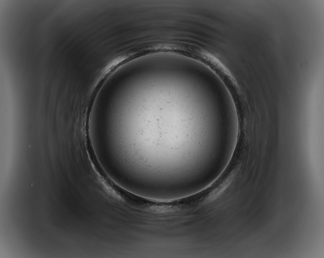 X0000087671033200705041007