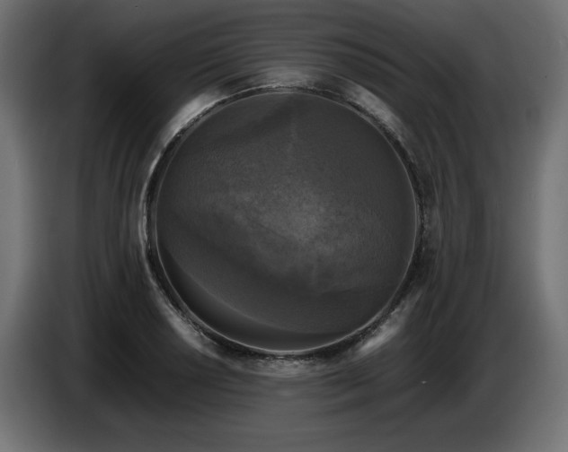 X0000087671034200705041007