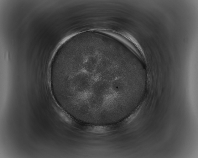 X0000087671035200705041007