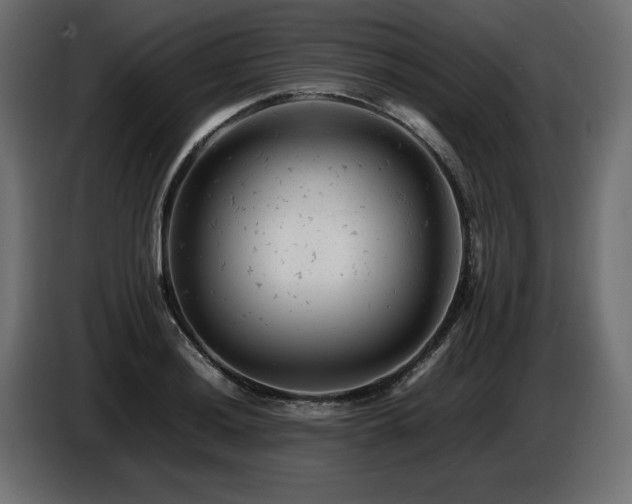 X0000087671036200705041007