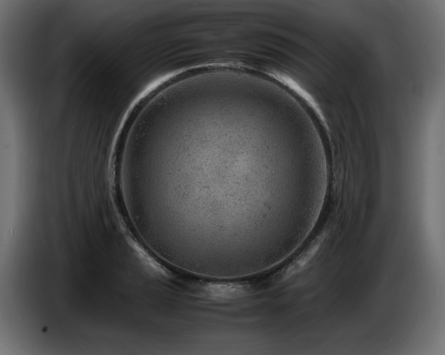 X0000087671037200705041007