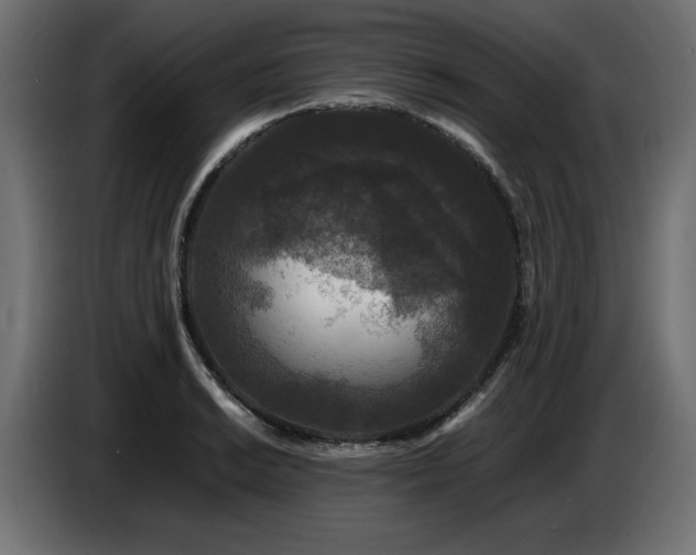 X0000087671038200705041007