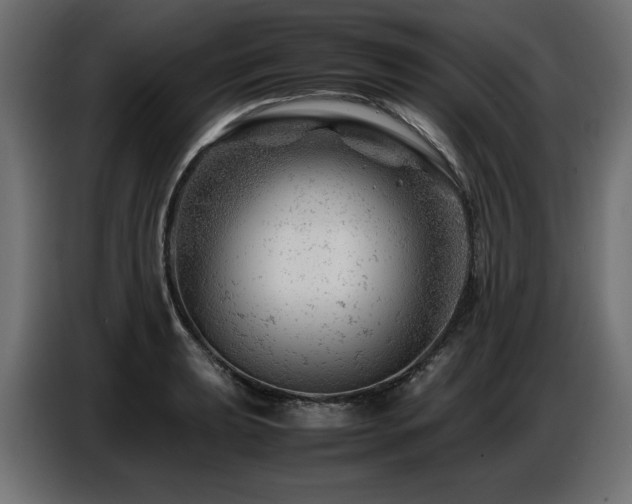 X0000087671039200705041007