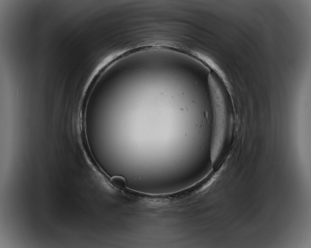 X0000087671040200705041007