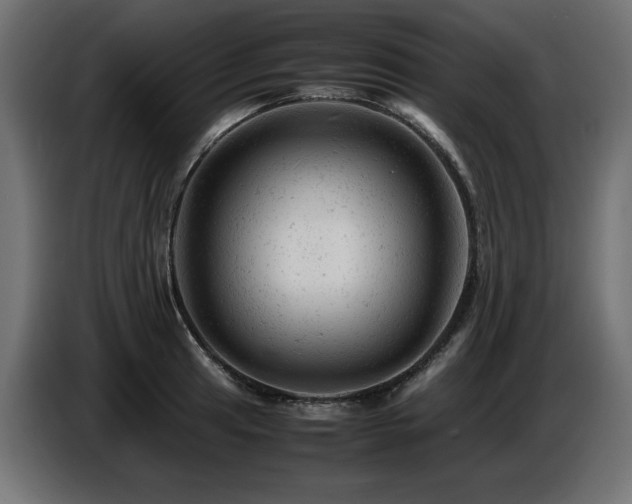 X0000087671041200705041007