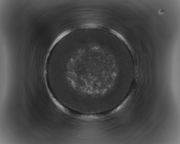 X0000087671042200705041007