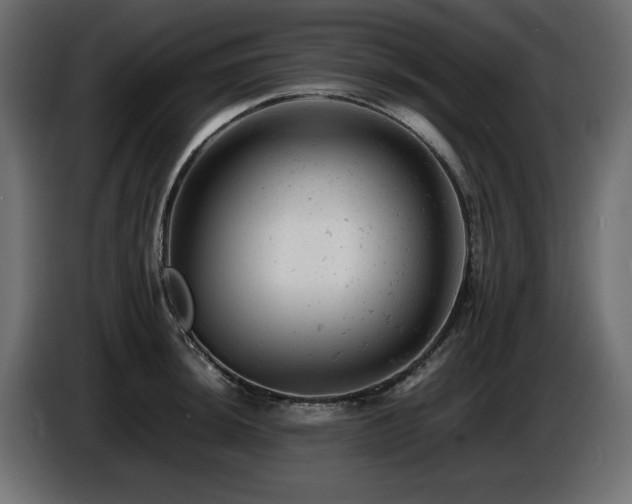 X0000087671044200705041007