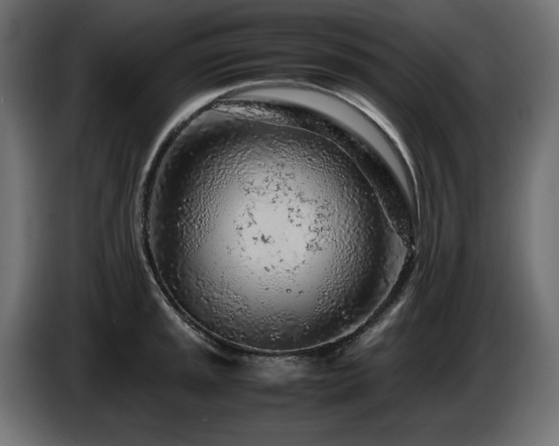 X0000087671045200705041007