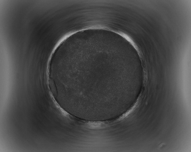 X0000087671046200705041007