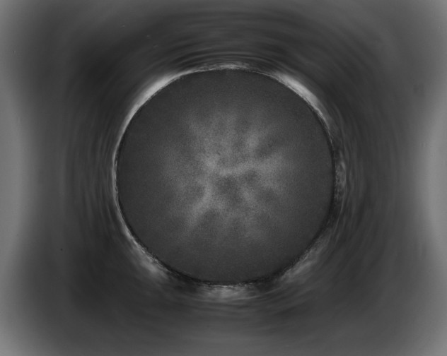 X0000087671047200705041007