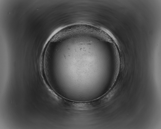 X0000087671048200705041007