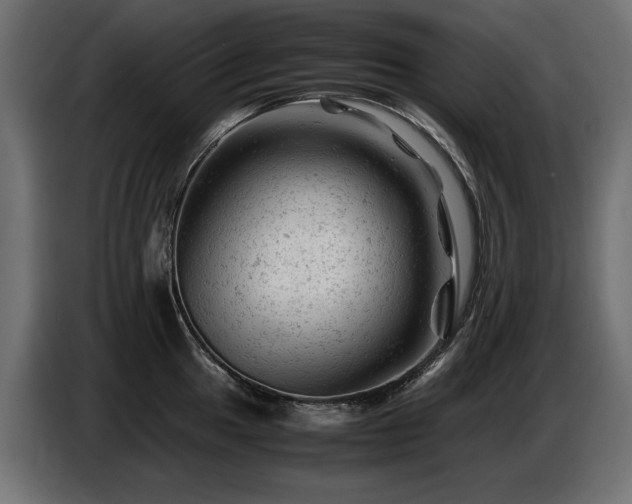 X0000087671049200705041007