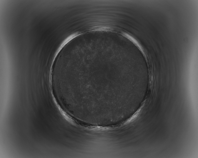 X0000087671050200705041007