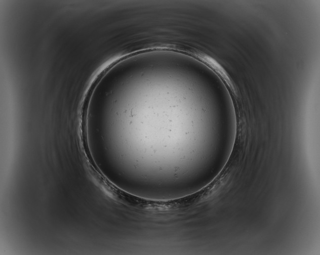 X0000087671051200705041007