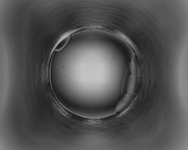 X0000087671052200705041007