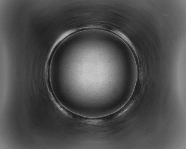 X0000087671053200705041007