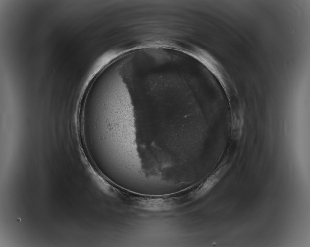 X0000087671054200705041007