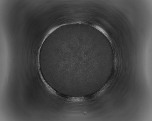 X0000087671055200705041007