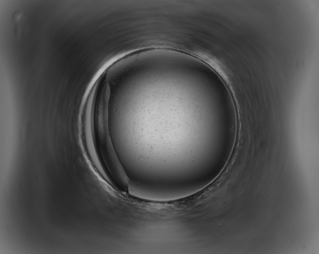 X0000087671056200705041007