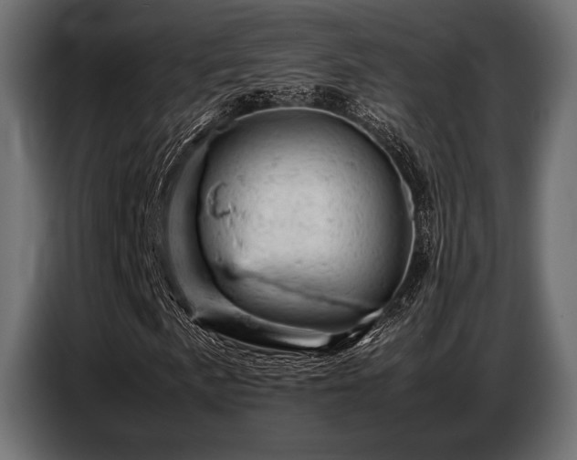 X0000087671057200705041006