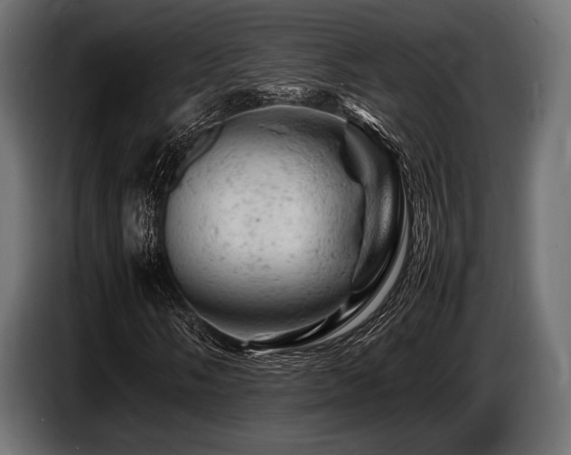 X0000087671058200705041006