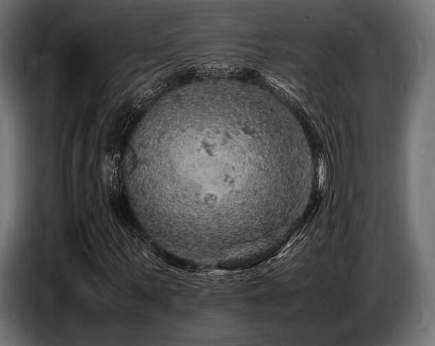 X0000087671059200705041006