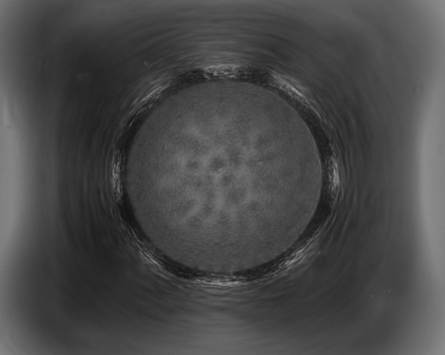 X0000087671060200705041006