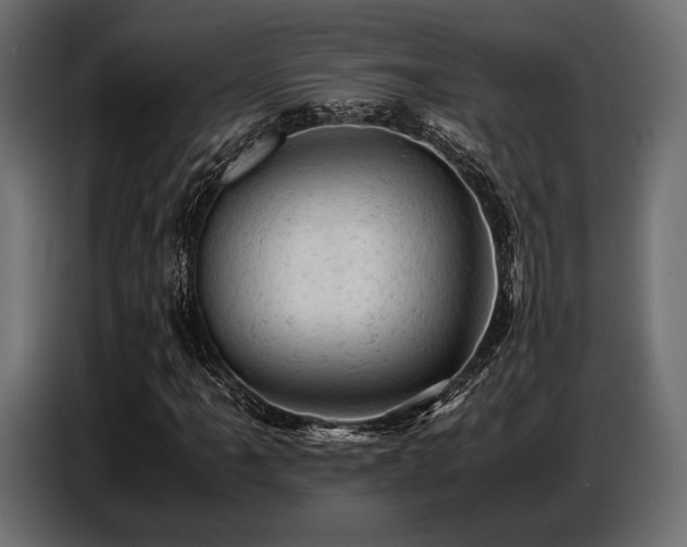 X0000087671061200705041006