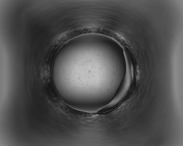 X0000087671062200705041006