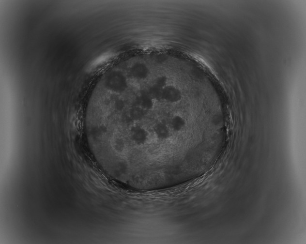 X0000087671063200705041006