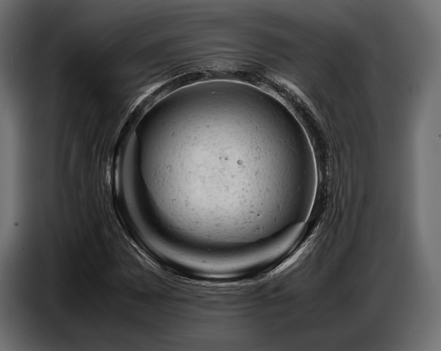 X0000087671065200705041006