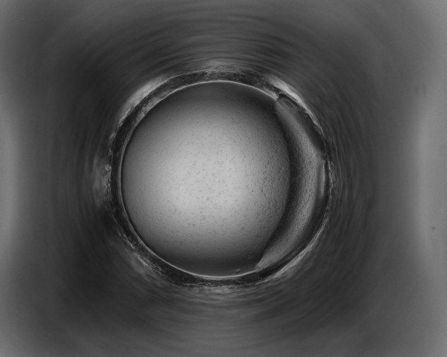 X0000087671066200705041006