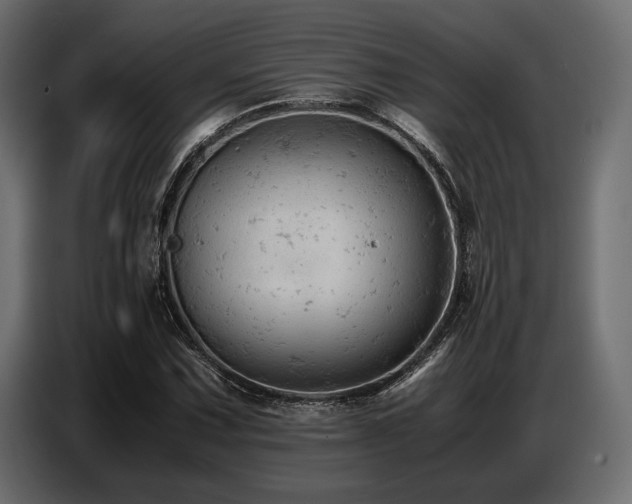 X0000087671067200705041006